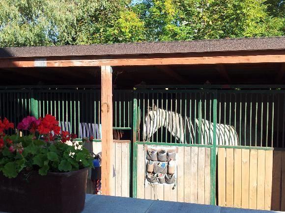 Farm stay Farm Nh Stables Nyrany